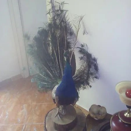 Karafil 3* Gjirokastër