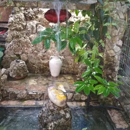 招待所 Karafil 3*