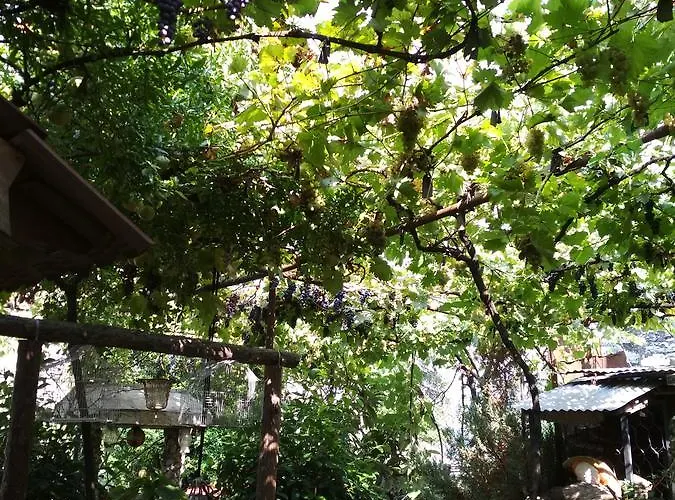 Karafil Gjirokastër