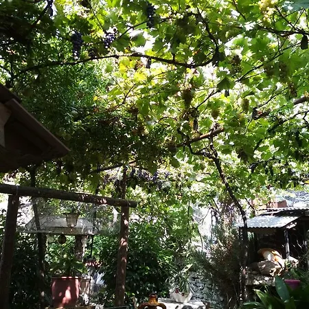 Karafil Gjirokastra